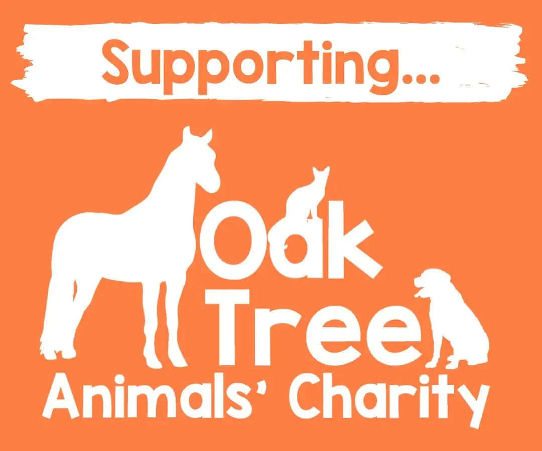 Large Charity Treat Box-Monty & Mabel's